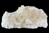 Quartz Crystal Cluster - Brazil #81009-1